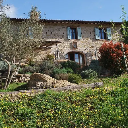 Casale Le Ripe San Venanzo