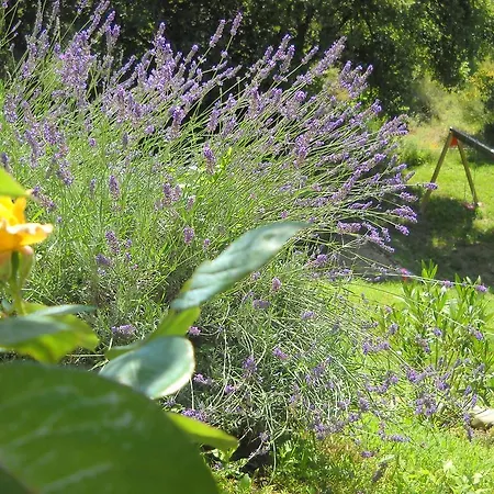 Casale Le Ripe